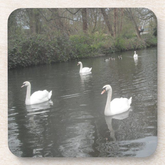 Cork Dessous de verre Swans Rivière natation (Devant)
