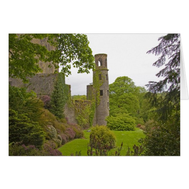 Cork, Irlande. Le célèbre château de Blarney 2 (Devant horizontal)