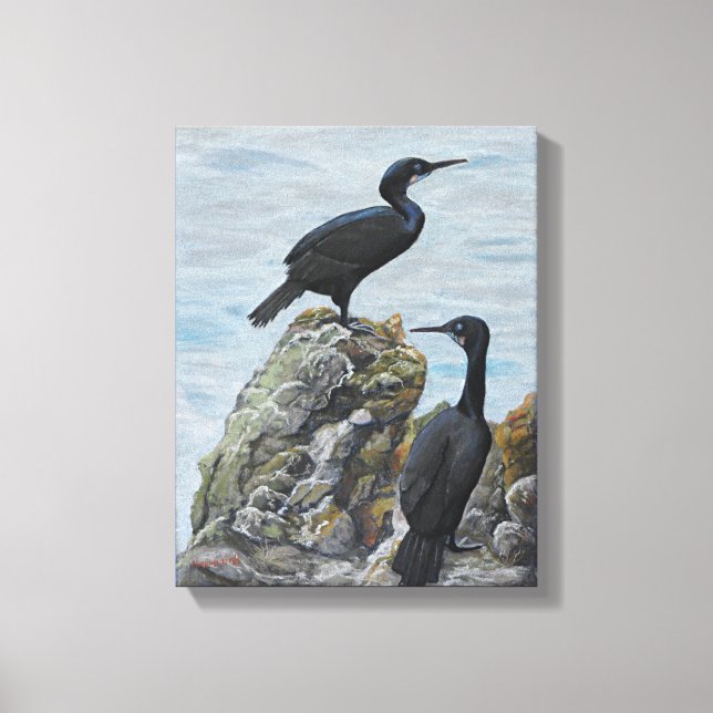 Cormorants sur rochers Imprimer sur toile (Recto)