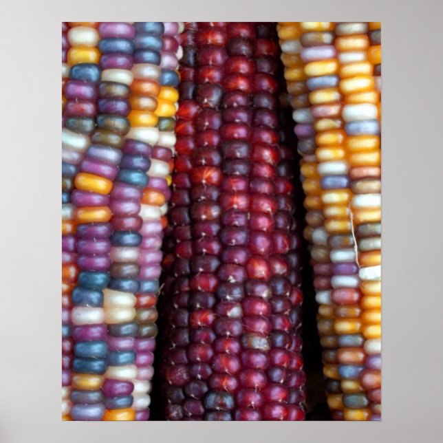Corn indien Impression par Kim Rowlett (Devant)