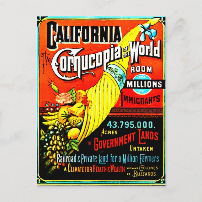 Corne d'abondance - Carte postale (Devant)