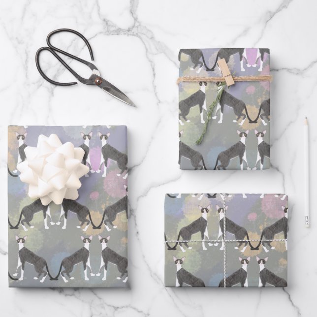 Cornouailles Rex Chats Envelopper les feuilles de  (Recto)