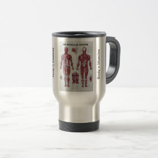 Corps n Muscles tasse