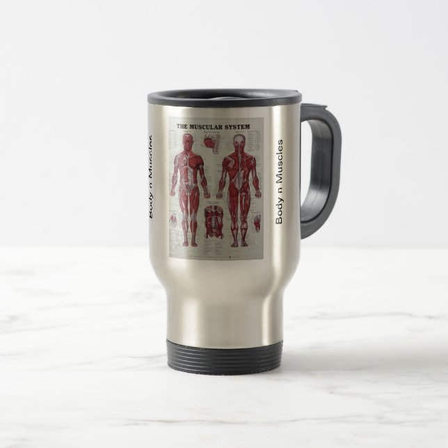Corps n Muscles tasse (Devant droit)