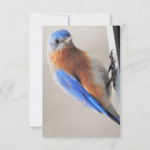 Correspondance Carte à billets plats avec le bleu de l'Est
