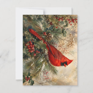 Correspondance Carte de Noël au Cardinal Rouge dans un Evergreen