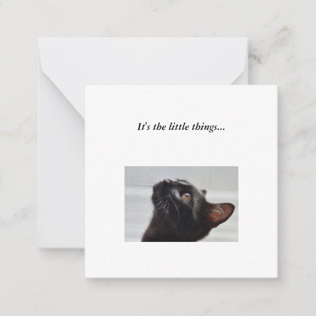Correspondance Carte de note Black Cat Mini Thank You (Devant)