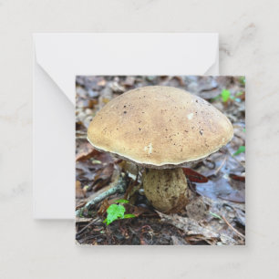 Correspondance Carte de note de champignon