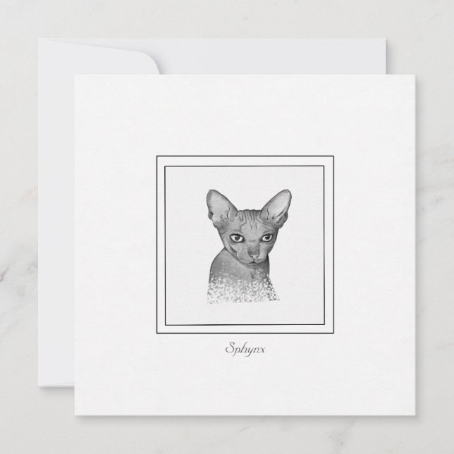 Correspondance Carte de note de dessin Sphynx Chat Chalk (Devant)