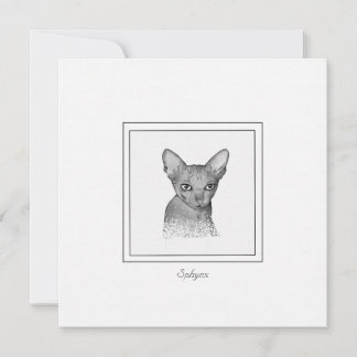Correspondance Carte de note de dessin Sphynx Chat Chalk