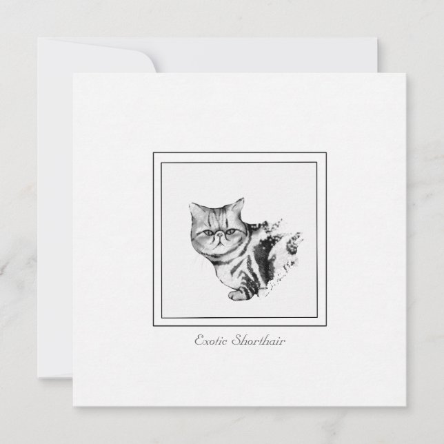 Correspondance Carte de note plat Exotique Shorthair Cat (Devant)
