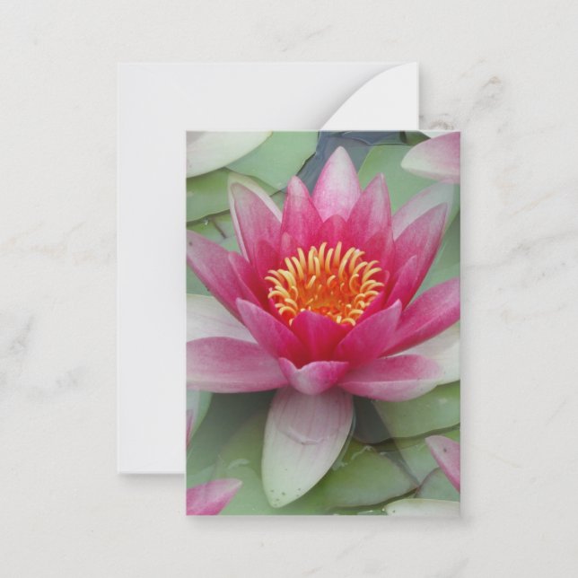 Correspondance Carte de note plat Pink Lotus Water Lily (Devant)