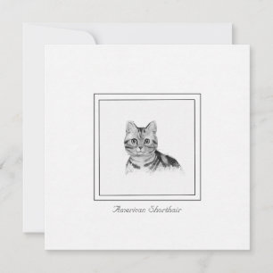 Correspondance Carte de note plate de dessin de chat court améric