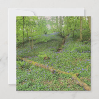 Correspondance Carte de voeux Hop Yard Wood