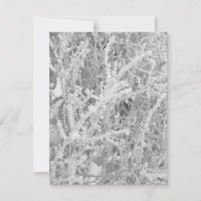 Correspondance Carte de vœux personnalisée en blanc avec sapin en (Devant)
