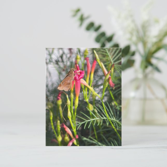 Correspondance Carte de vœux vierge reflets de beauté (Debout devant)