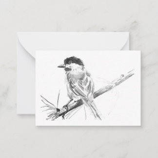 Correspondance Carte Noire à lime de chickadee