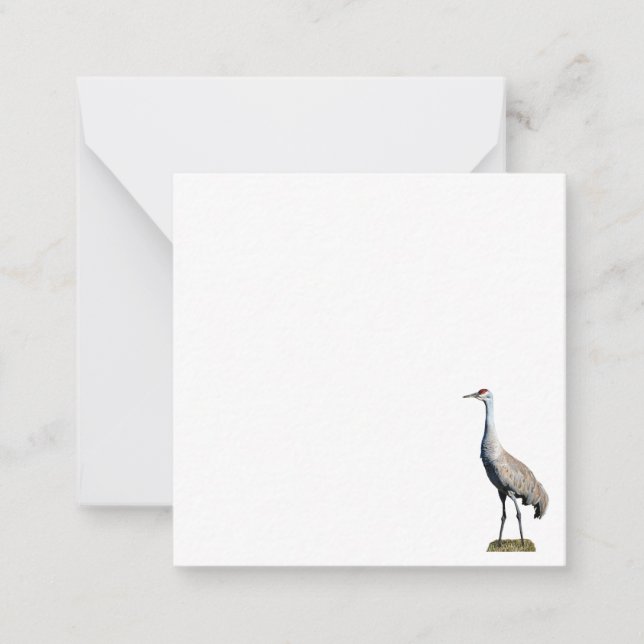 Correspondance Carte photo de la grue de Sandhill (Devant)