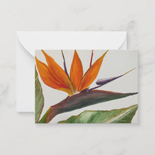 Correspondance Carte pour notes de l'Oiseau du Paradis