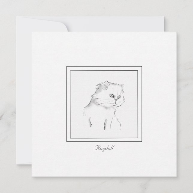 Correspondance Chat Ragdoll noir et blanc Carte de billets contem (Devant)