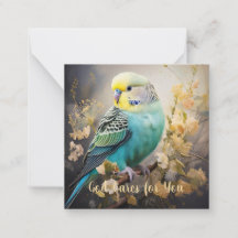 Dieu s'occupe de vous, avec la carte Parakeet Note