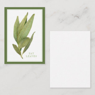 Correspondance FEUILLES DE LAURIER FRAÎCHES 3,5x2,5 Carte Plate /