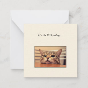 Correspondance Funny Cat Mini Merci Carte de Note