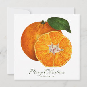 Correspondance Joyeux Noël Oranges Photo Carte de Noël
