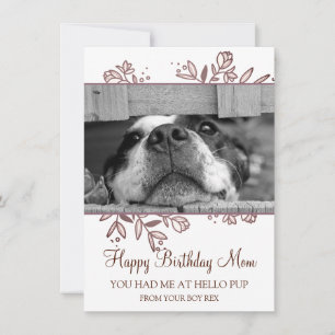 Correspondance Photo Chien Joyeux Anniversaire De Secourir Carte 