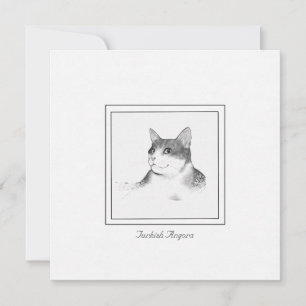 Correspondance Photo de chat Angora turque sur une carte à note p