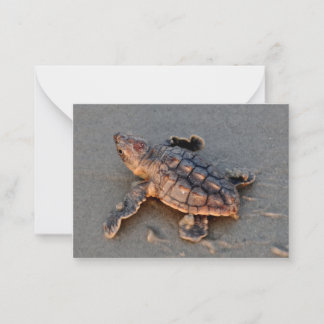 Correspondance s Carte de note à écouvillonner de tortue