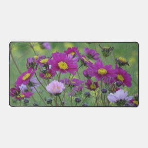 Cosmea Fleurs sauvages de bureau Mat