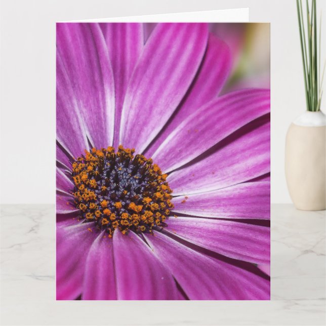 COSMÉA PURPLE FLEURS ANNIVERSAIRE CARTE SURTAILLÉE (Devant)