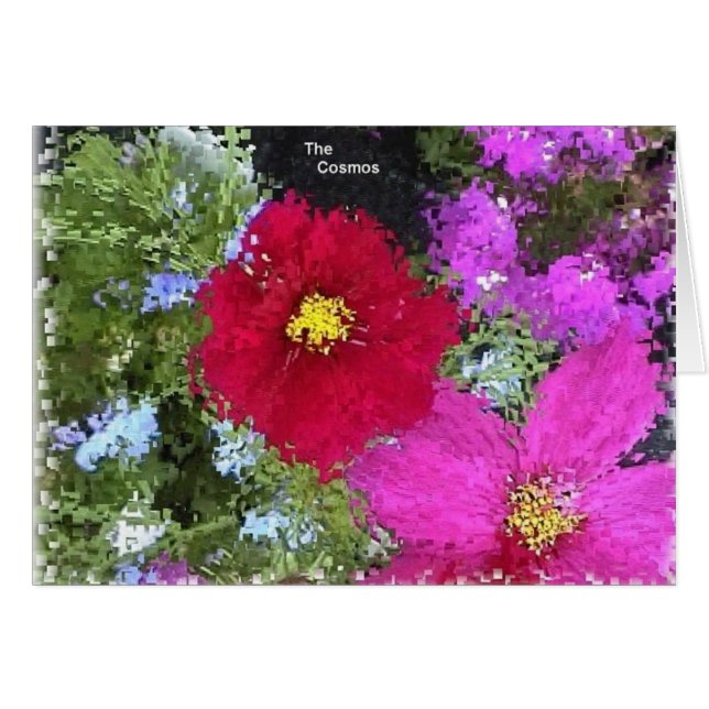 cosmos (Devant horizontal)