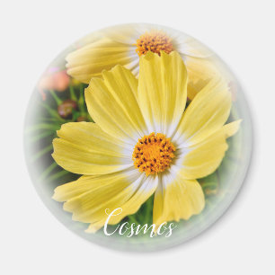 Cosmos aimant