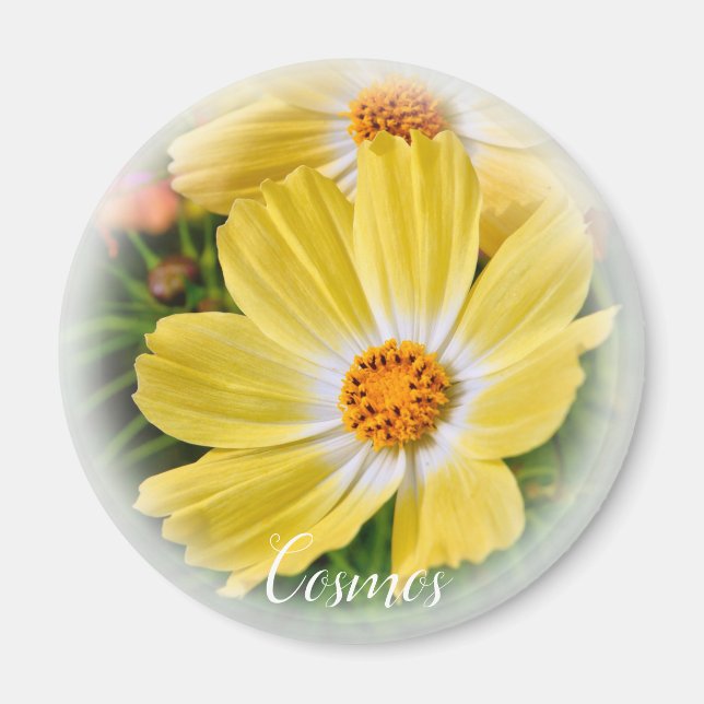 Cosmos aimant (Devant)