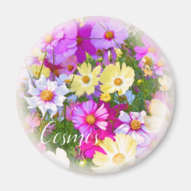 Cosmos aimant (Devant)