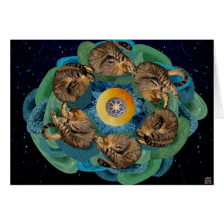 Cosmos de chaton