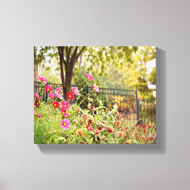 Cosmos Garden 8 x 10 Toile Wrap par DeGruy (Recto)