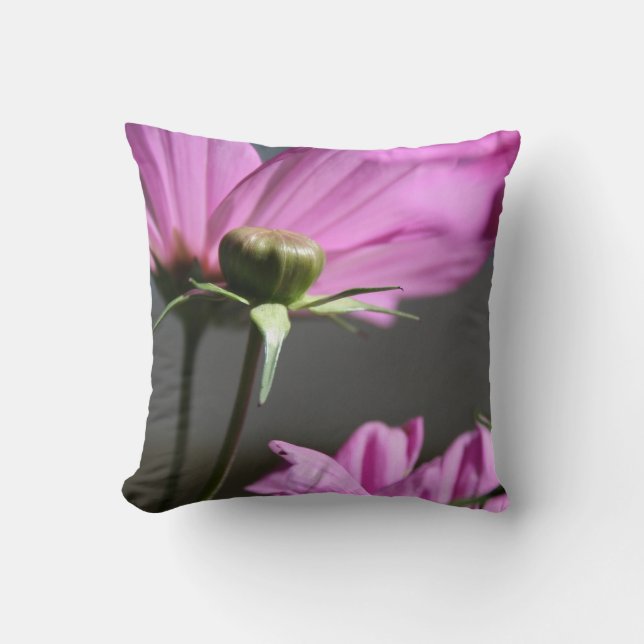 Cosmos rose Coussin jours d'été (Recto)