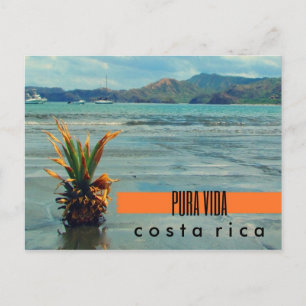 Costa Rica Ananas sur la plage Carte postale