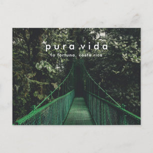 Costa Rica Hanging Bridges Canopy Carte postale