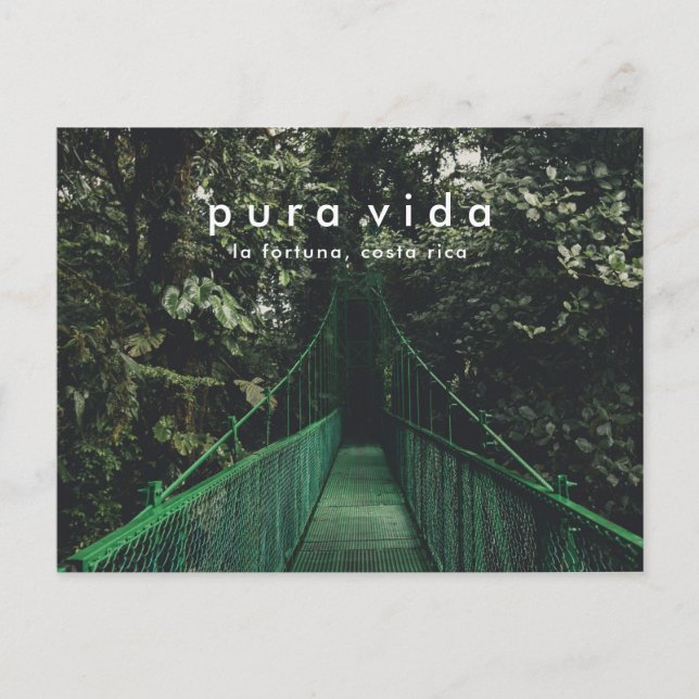 Costa Rica Hanging Bridges Canopy Carte postale (Devant)