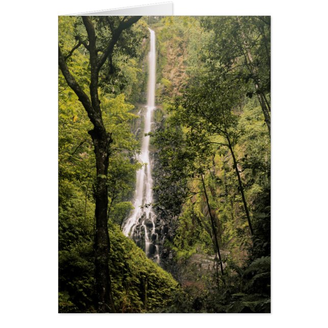 Costa Rica, île Cocos, Cascade de la baie Wafer (Devant)