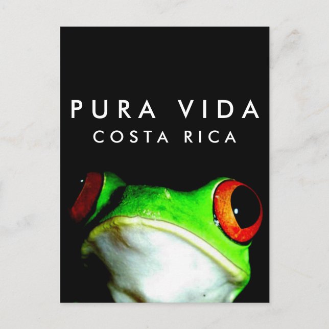 Costa Rica Pura Vida Tree Frog Carte postale (Devant)