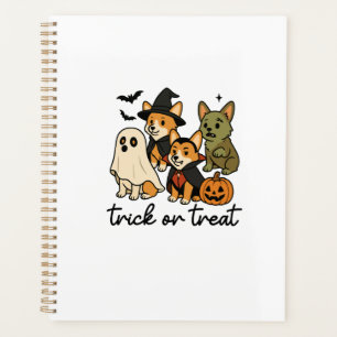 costume d'Halloween pour corgi 