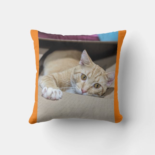 "Cosy Orange Tabby Coussin - Feline Chaleureuse Ch (Verso)