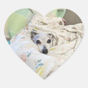 cosy pearl fille autocollant coeur