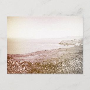Côte de Sepia   Carte postale