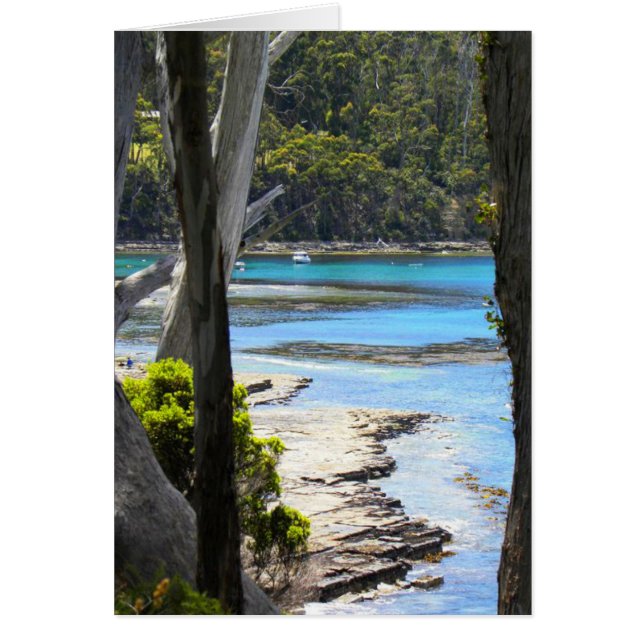 Côte de Tasmanie (Devant)